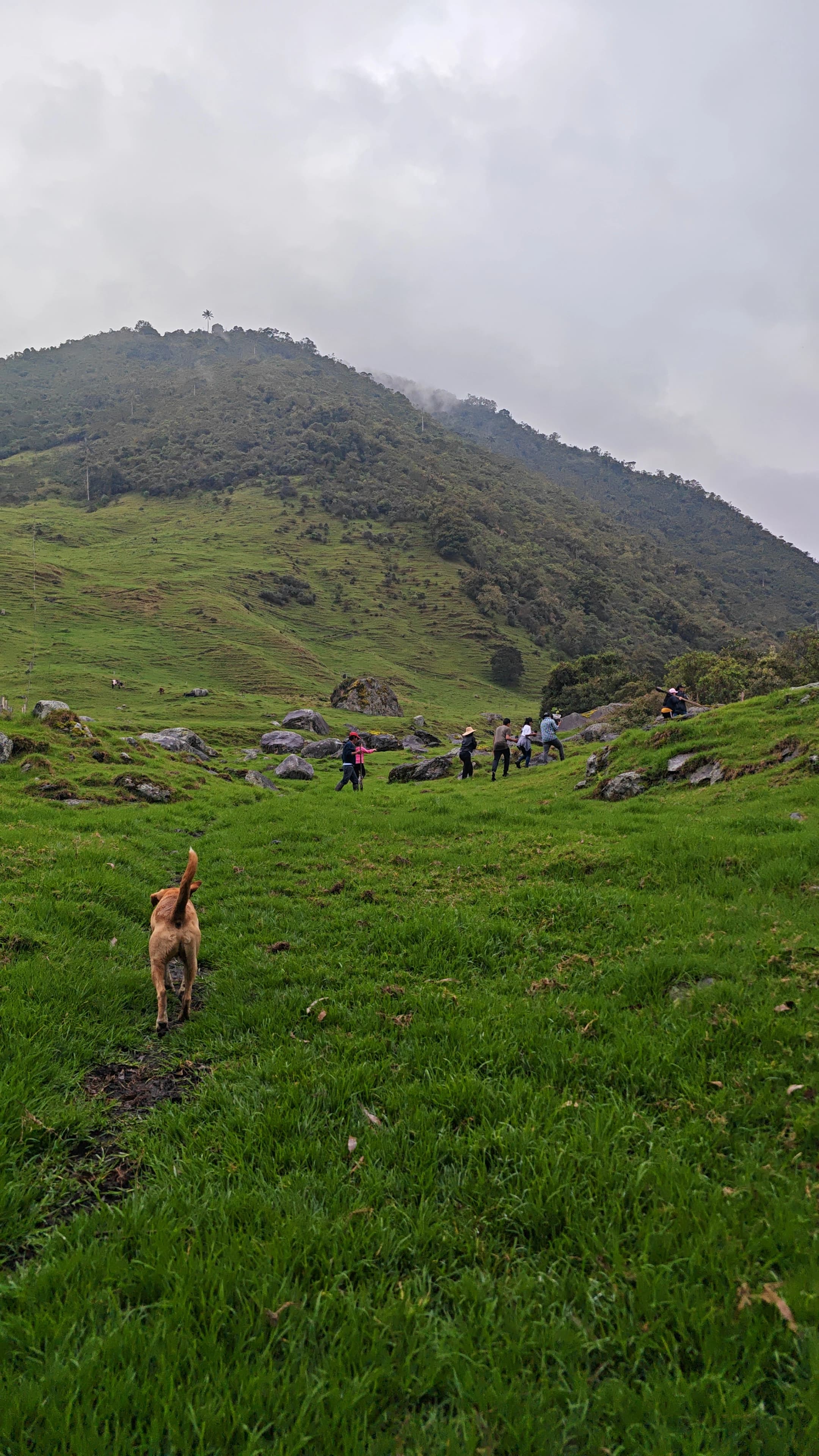 Seguimiento y certificación